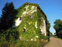 Heimatmuseum Obermühle (Ach)
